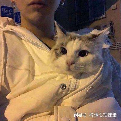 修仙风云手游
